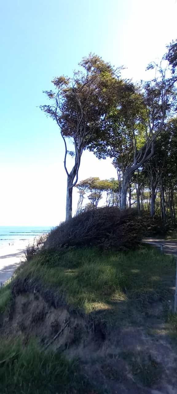 Familienurlaub Mit Hund An Der Ostsee Admannshagen-Bargeshagen Luaran gambar