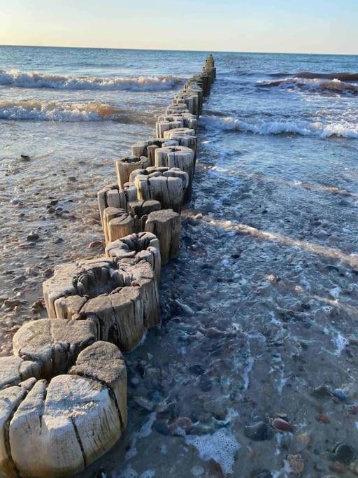 Familienurlaub Mit Hund An Der Ostsee Admannshagen-Bargeshagen Luaran gambar